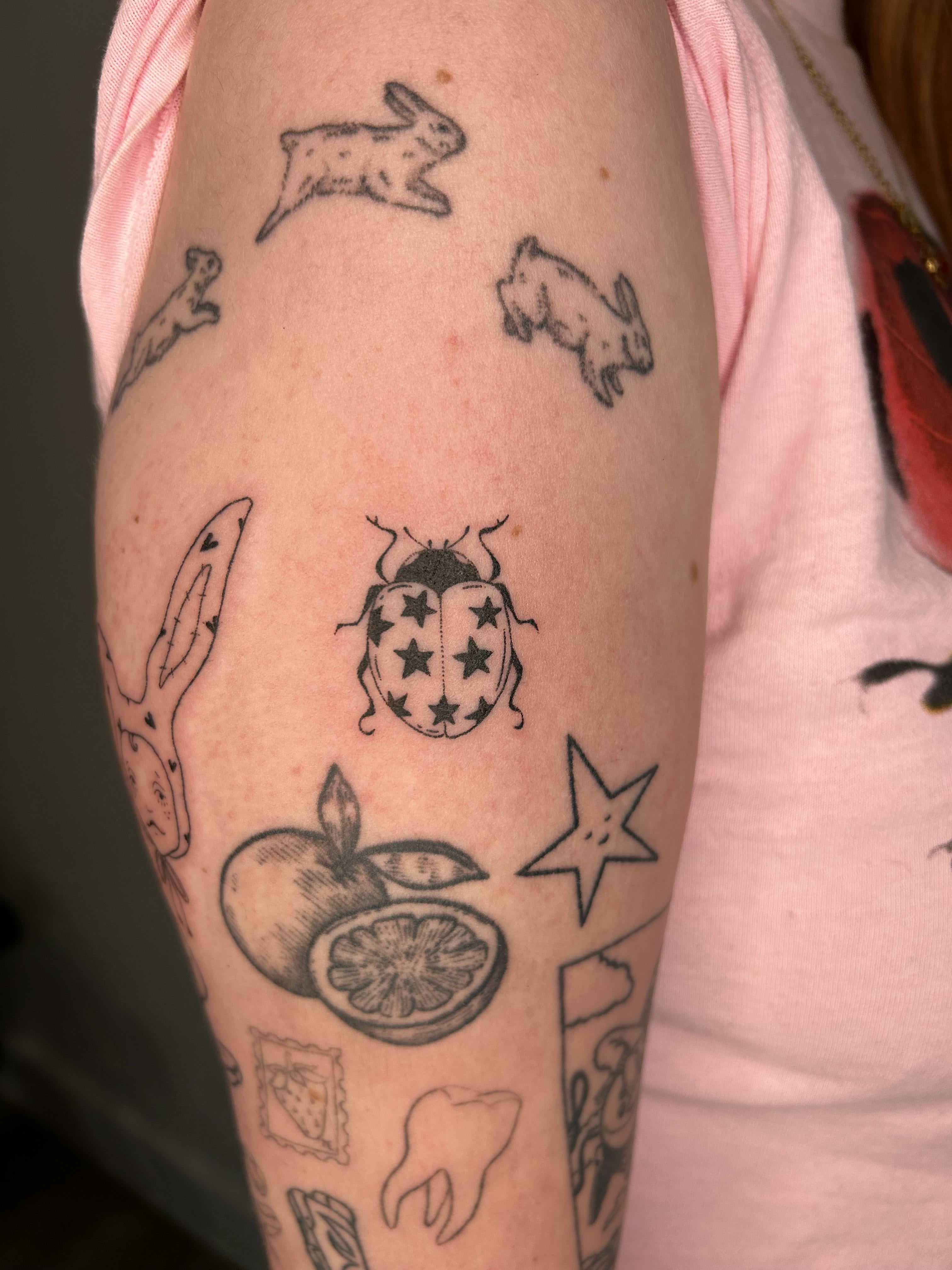 ladybug stick and poke