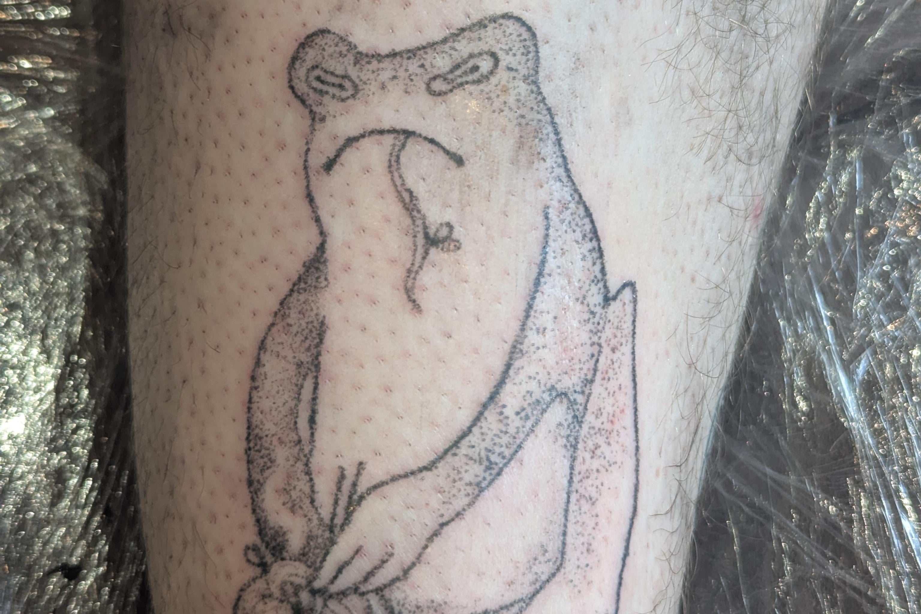 frog stick and poke